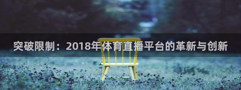 绿茵体育live直播：突破限制：2018年体育直播平台的革新与创新