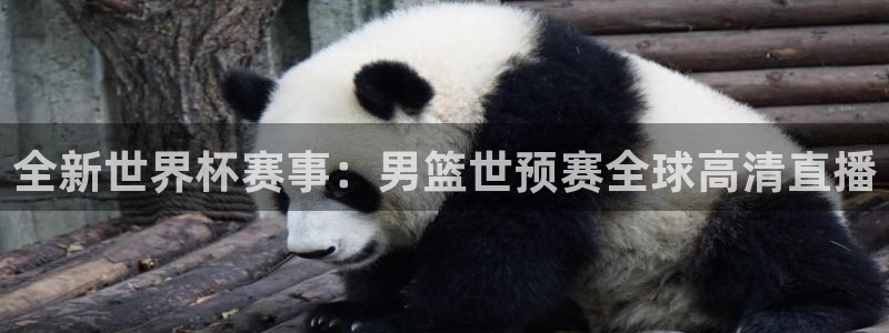 绿茵直播官网：全新世界杯赛事：男篮世预赛全球高清直播