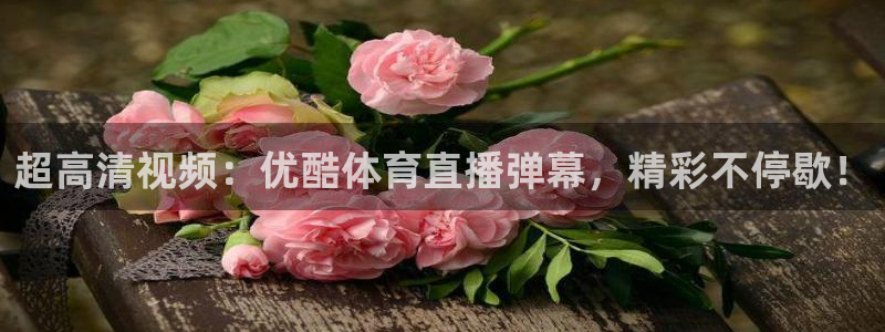 绿茵直播体育免费观看高清：超高清视频：优酷体育直播弹幕，精彩不停歇！