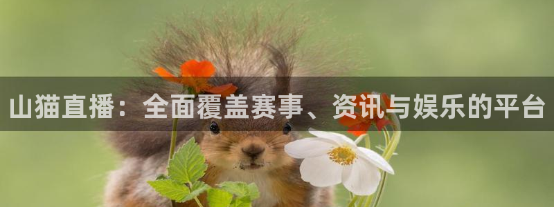 绿茵体育直播9939：山猫直播：全面覆盖赛事、资讯与娱乐的平台