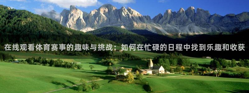 球球看绿茵：在线观看体育赛事的趣味与挑战：如何在忙碌的日程中找到乐趣和收获