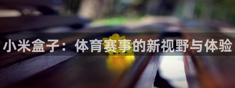 绿茵足球官网：小米盒子：体育赛事的新视野与体验