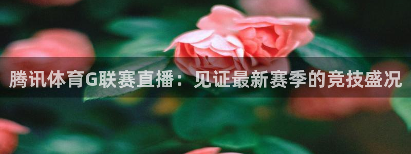 绿茵体育直播官网下载：腾讯体育G联赛直播：见证最新赛季的竞技盛况
