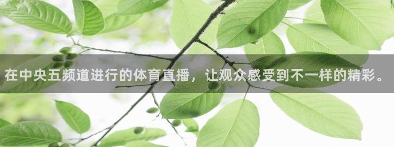 足球]绿茵魔术师：在中央五频道进行的体育直播，让观众感受到不一样的精彩。
