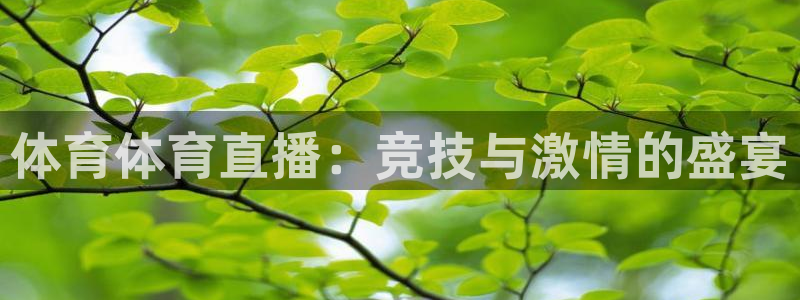 绿茵足球视频：体育体育直播：竞技与激情的盛宴