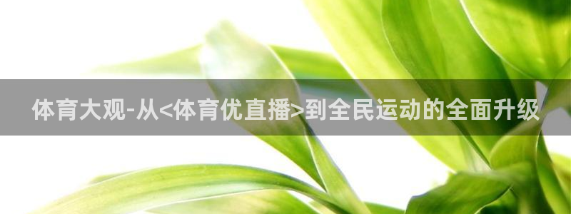 足球直播绿茵体育：体育大观-从<体育优直播>到全民运动的全面升级
